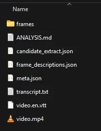 A typical output folder of a video analysis